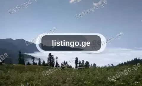 იყიდება სასოფლო-სამეურნეო მიწის ნაკვეთი ოზურგეთის მუნიციპალიტეტში